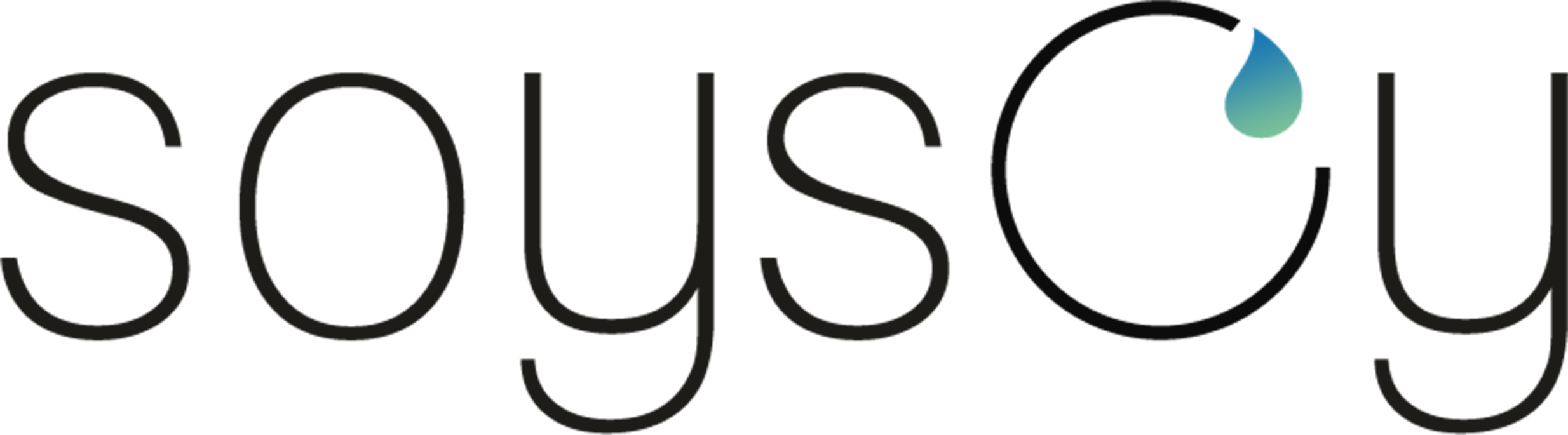 SoySoy — Conditionnement de sauces B2B premium